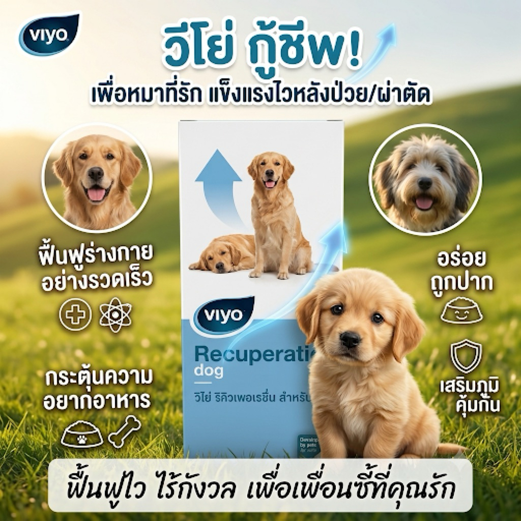 Viyo Recuperation Dog ดูแลช่วงพักฟื้น 150 ml