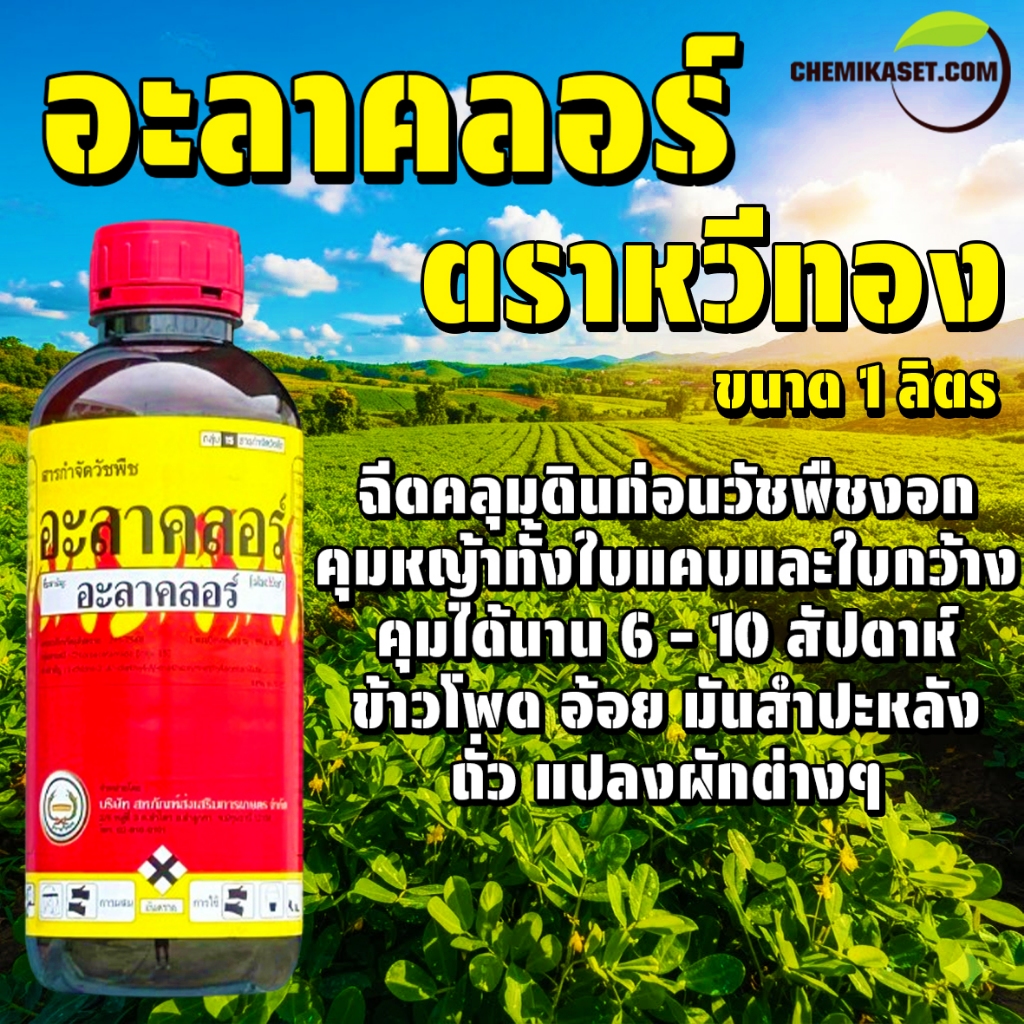 อะลาคลอร์ ตรา หวีทอง ขนาด 1 ลิตร ยาคุมหญ้า ใบแคบและใบกว้าง