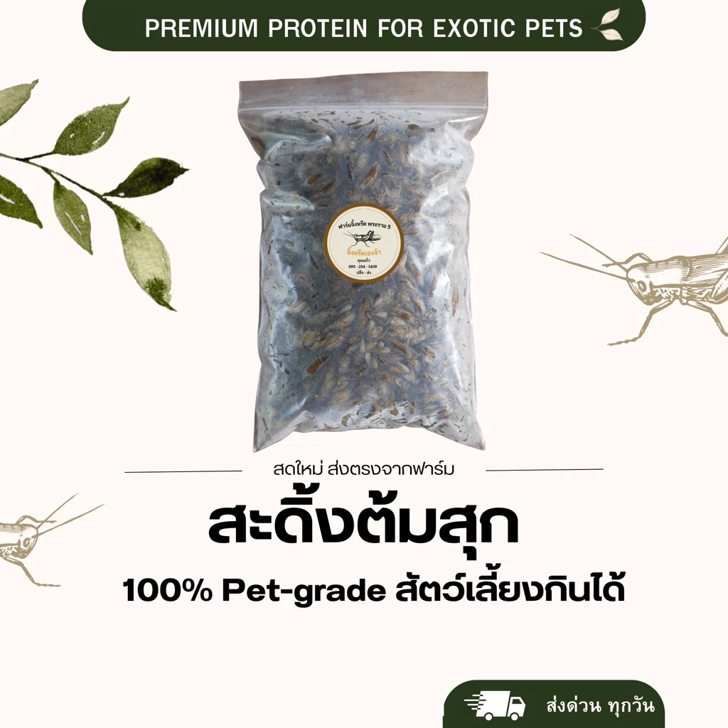 สะดิ้งไข่ ต้มสุกแช่แข็ง ไม่ปรุง สัตว์เลี้ยงกินได้
