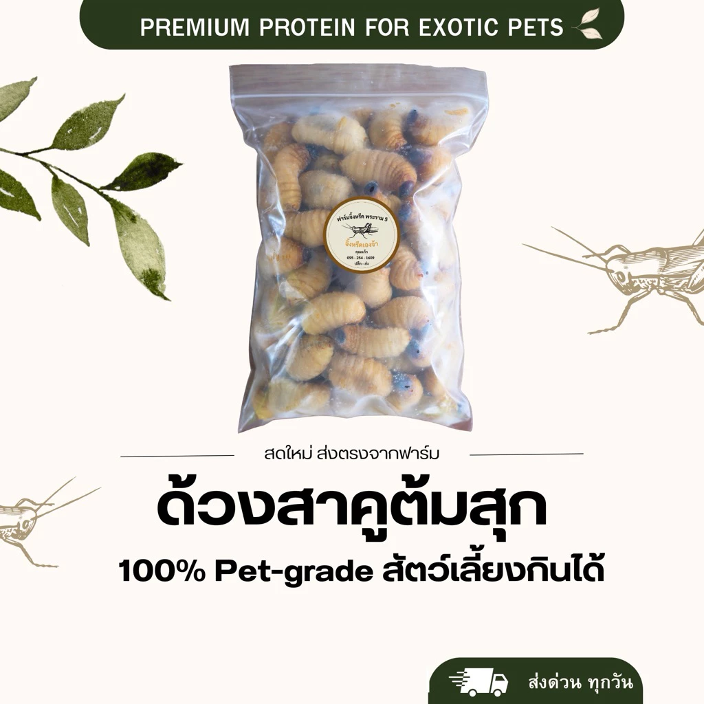 ด้วงสาคู ไซต์ใหญ่ ด้วงมะพร้าว ไม่ปรุงรส สัตว์เลี้ยงกินได้
