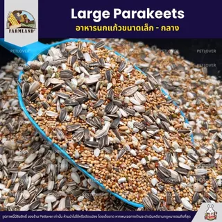 (5KG/10KG) Farmland Large Parakeets อาหารนกแก้ว อาหารธัญพืชสำหรับนกแก้วขนาดเล็ก - กลาง