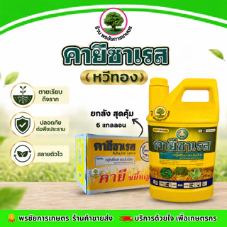 คายีซาเรส(เหลือง) 4 ลิตร ยกลัง มี 6 แกลลอน กลูโฟซิเนต-แอมโมเนียม 15% กำจัดหญ้าใบแคบและใบกว้างได้