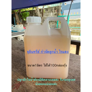 จุลินทรีย์ กำจัดลูกน้ำ ไรแดง 1ลิตรใช้ได้100กล่องกุ้ง