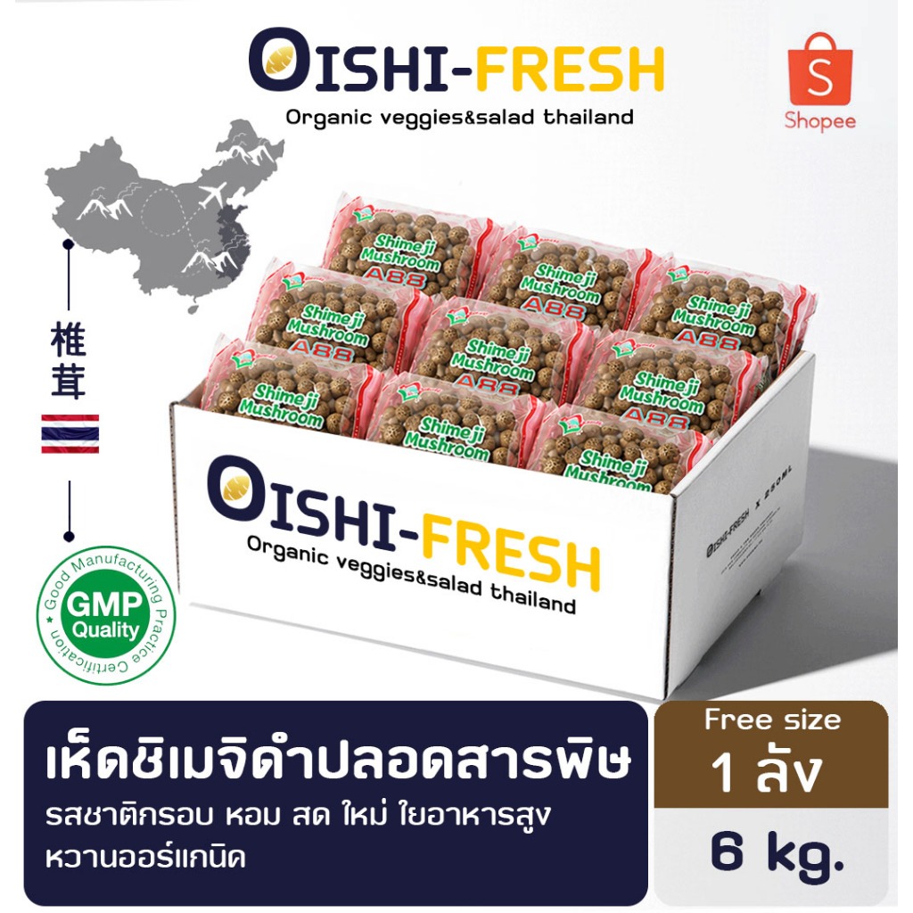 ส่งด่วน ร้านอาหาร ‍เห็ดชิเมจิ ปลอดสารพิษ 125gx48P ผักร้านอาหาร ผักยกลัง ผักราคาส่ง ผักชาบู ผักโรงแรม ส่ง 24 ชม.