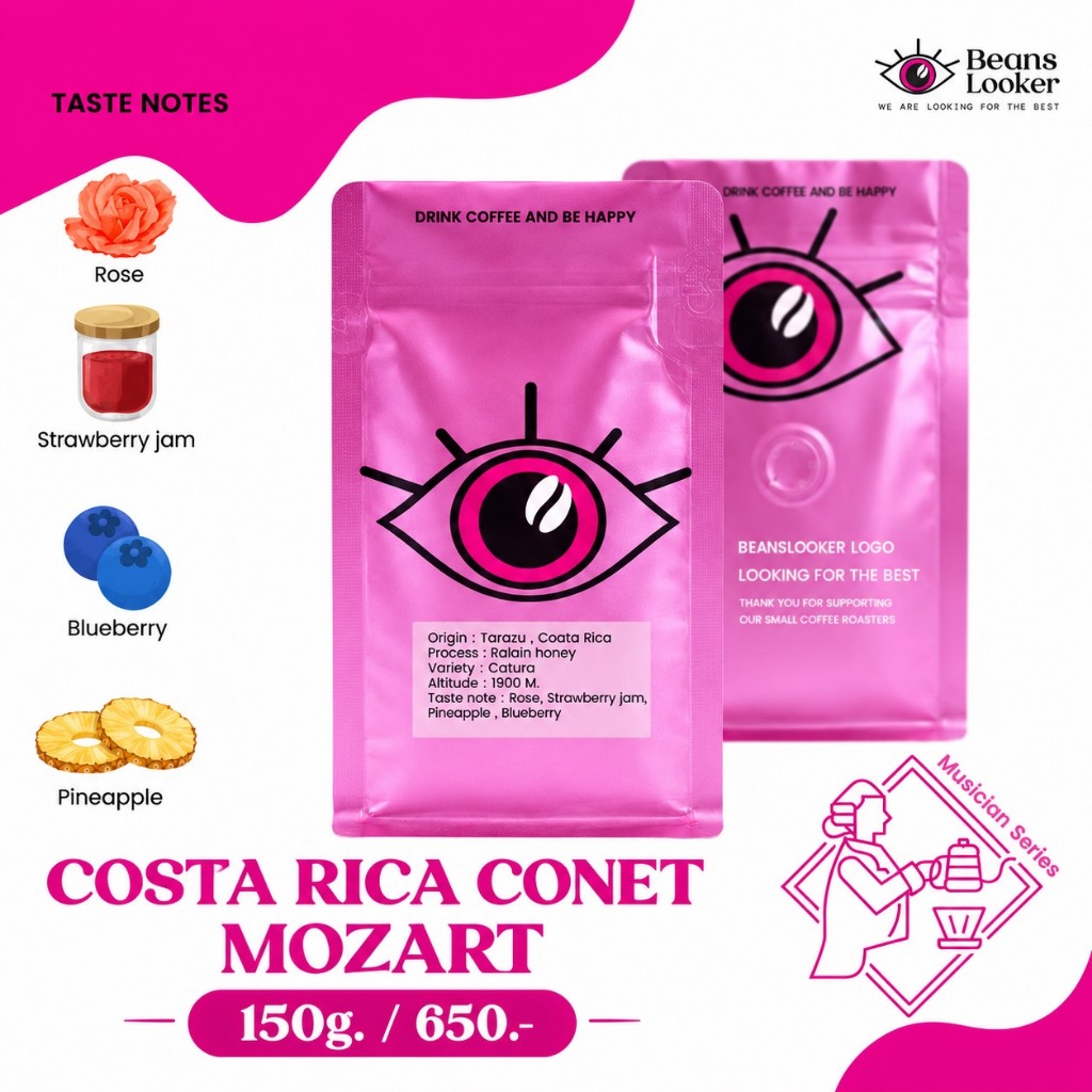 COSTA RICA CANET – MUSICIAN MOZART