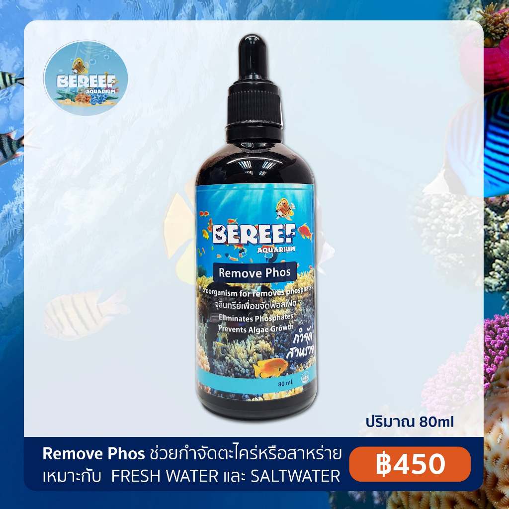 BEREEF Remove Phos - จุลินทรีย์ปรับปรุงคุณภาพน้ำ ลดของเสีย ฟอสเฟท ตะไคร่ ช่วยให้น้ำใส (80ml) ลด NO3 