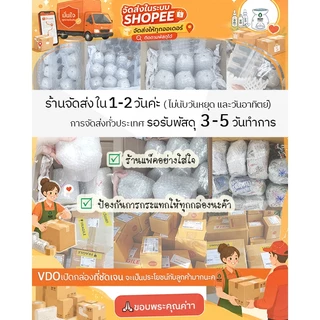 ขวด30 100mL น้ำมันหอมระเหย100% ยูคาลิปตัส เปปเปอร์มิ้นท์ ตะไคร้ มะกรูด เลม่อน กานพลู ทีทรี Pure essential oils
