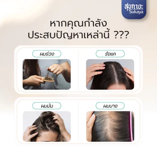 (ของแท้) Sukaya แชมพูสมุนไพรโสมแดง ขนาด 150 ml จำนวน 8 ขวด [สูตร ผมขาดหลุดร่วง] ผมร่วง ผมมัน ผมบาง ฟื้นฟูหนังศรีษะ