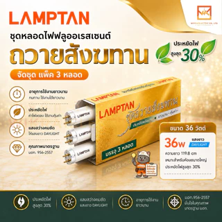 (ยกกล่องแพ็ค3หลอด)LAMPTAN ชุดหลอดไฟฟลูออเรสเซนต์ถวายสังฆทานจัดชุด แพ็ค3หลอด ขนาด 18w และ 36w แสงขาว