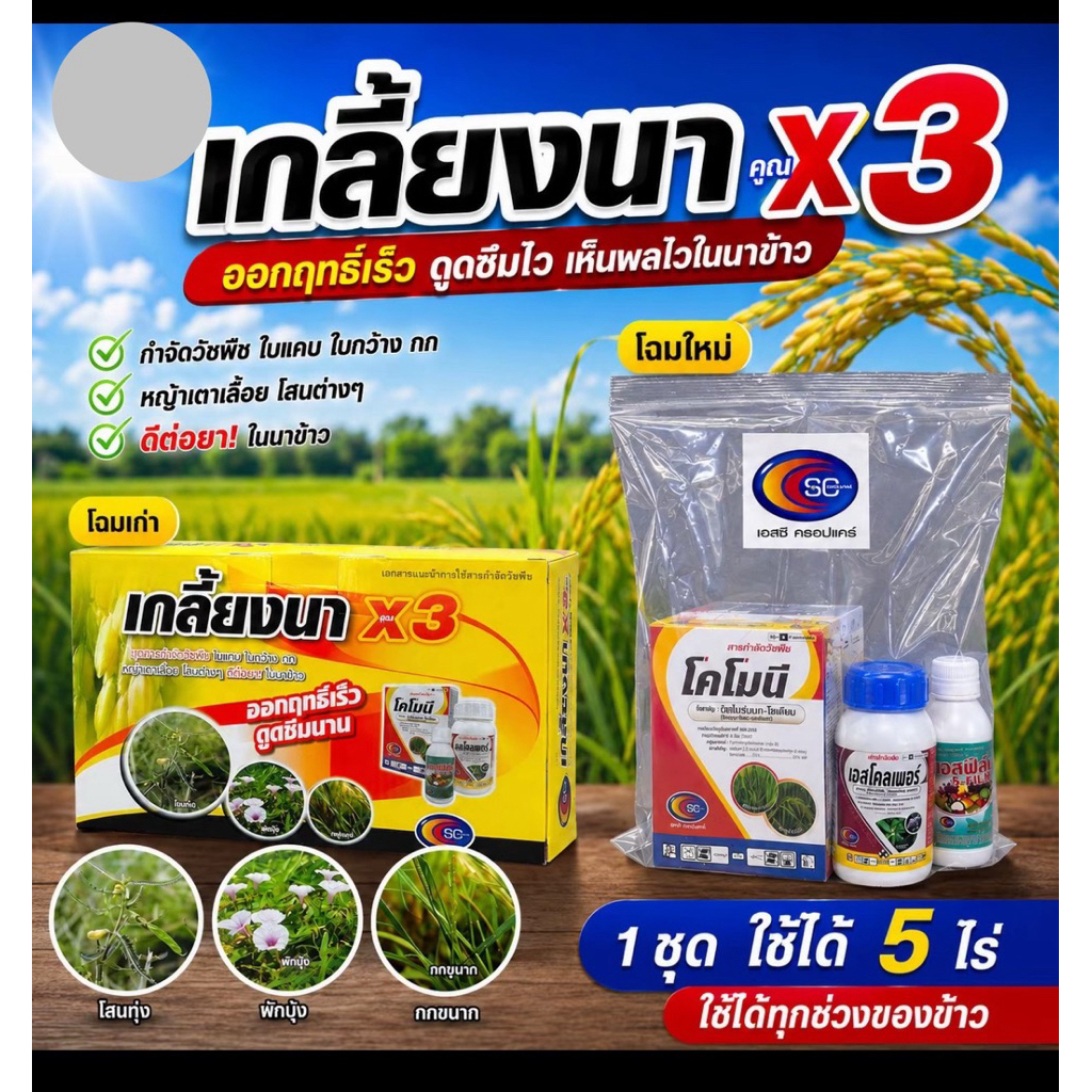 เกลี้ยงนา (ราคา ต่อ 1ชุด) กำจัดหญ้าในนาข้าว 1ชุด ฉีดได้4-5ไร่  มีของพร้อมส่ง