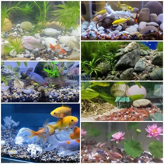 หินตกแต่งตู้ปลา หินแม่น้ำธรรมชาติ คละสี หลายขนาด 4-20mm น้ำหนัก 200/250/500กรัม รองพื้นตู้ปลา ตกแต่งกระถางต้นไม้ สีติดทน