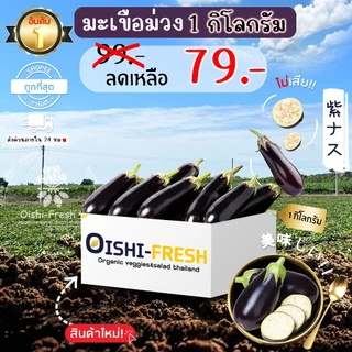 🛒Oishi-Fresh🍆มะเขือม่วง ปลอดสารพิษ 1 กก. รสชาติกรอบ สด ใหม่ ใยอาหารสูง หวานออร์แกนิค ผัก เคลมได้ 1-2 วัน
