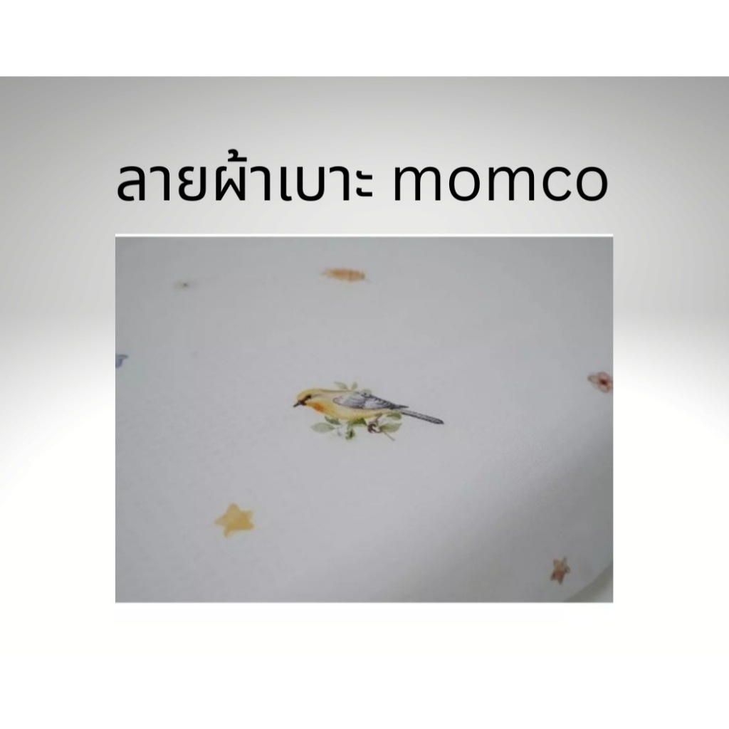 พร้อมส่ง เบาะฟองน้ำแน่นกันน้ำใยตาข่าย เปลเพน CAMERA รูปที่ 3
