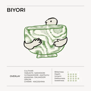 BIYORI l OVERLAY - Chiran, Kagoshima Ceremonial Grade Matcha | 30g