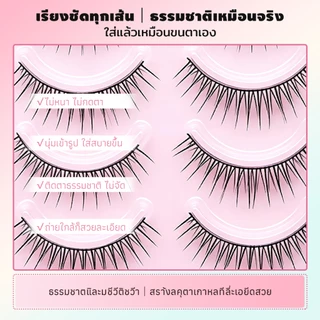 Dreehalo ซีรีส์มือใหม่ ใสธรรมชาติ กันน้ำ ขนตาปลอมสไตล์เกาหลี เบา ฟู เป็นธรรมชาติ ใส่แล้วตาหวาน ลุคไอดอลทุกวัน F298