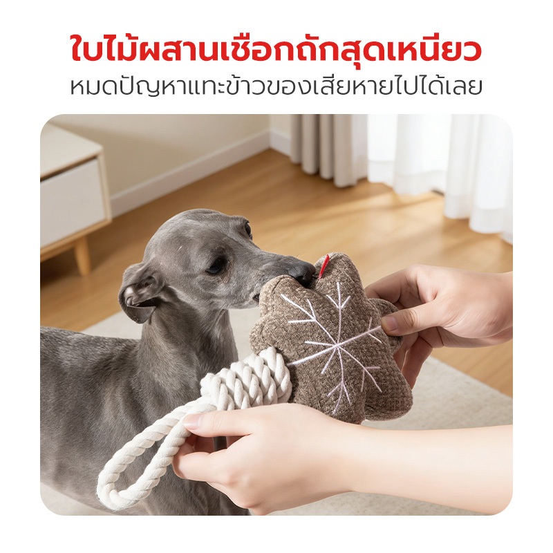 Petstar حبل قطني لعض الكلاب وتنظيف الأسنان — صورة 4