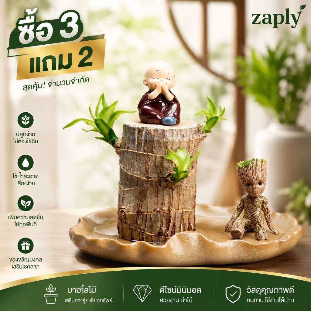 【ซื้อ 3 แถม 2 ฟรี】🔥ไม้บราซิล Groot พืชไฮโดรโปนิกส์คนดังทางอินเตอร์เน็ต ดอกไม้ไม้ลัคกี้ สารานุกรม พืชสีเขียว ไม้กระถ