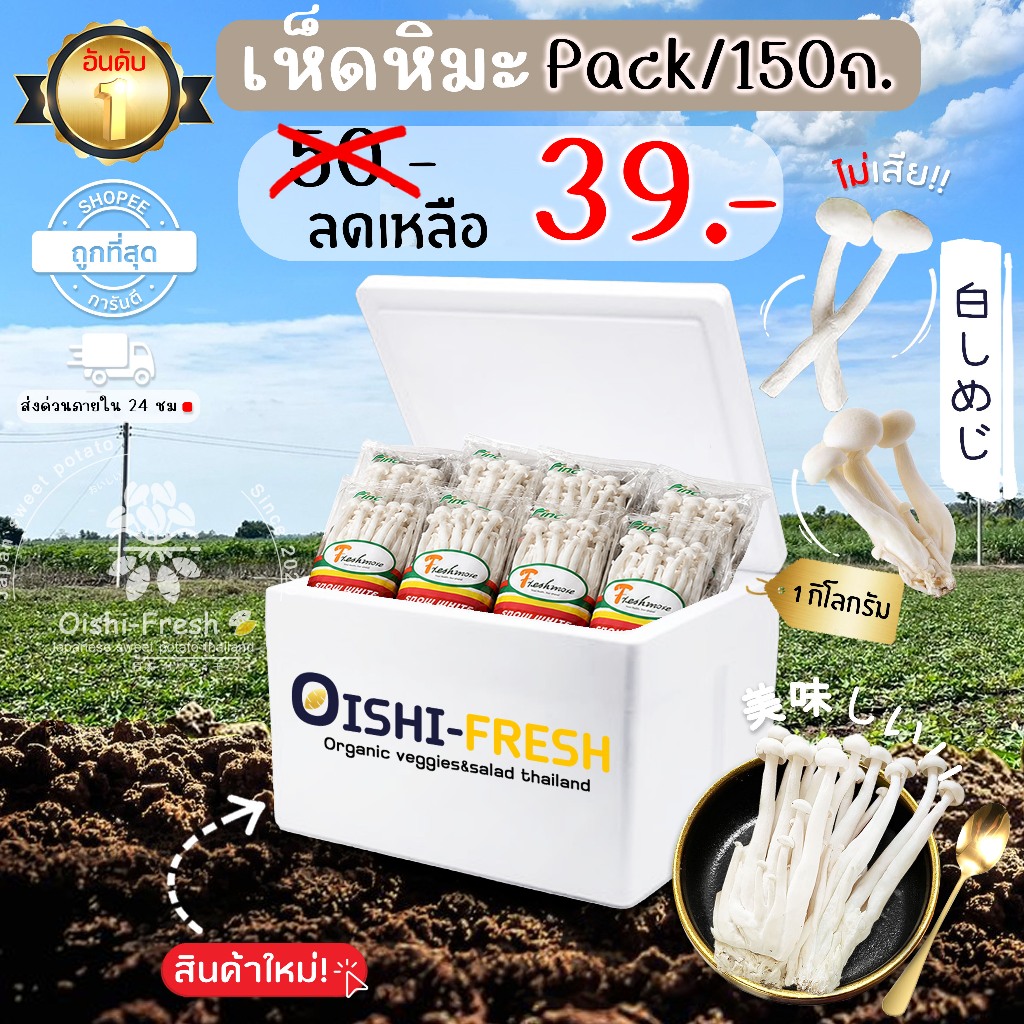 Oishi-Fresh ‍เห็ดหิมะ ปลอดสารพิษ 1 แพ็ค 150 ก. รสชาติกรอบ สด ใหม่ ใยอาหารสูง หวานออร์แกนิค ผัก เคลมได้ 1-2 วัน