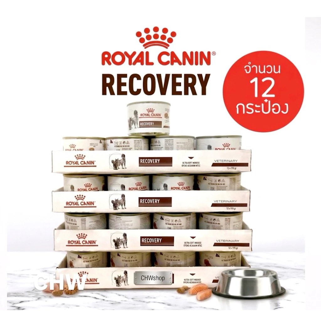 *ยกถาด 12 กระป๋อง* (ล็อตใหม่ Exp.07/2027) Royal Canin Recovery อาหารพักฟื้น สัตว์ป่วย