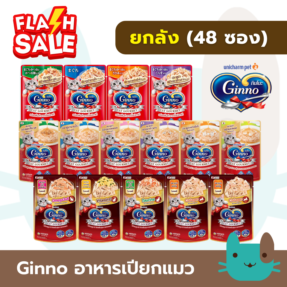 (ยกลัง) Ginno อาหารเปียกแมวกินโนะ 48 ซอง เกรดพรีเมี่ยม ไม่เติมเกลือ Fs