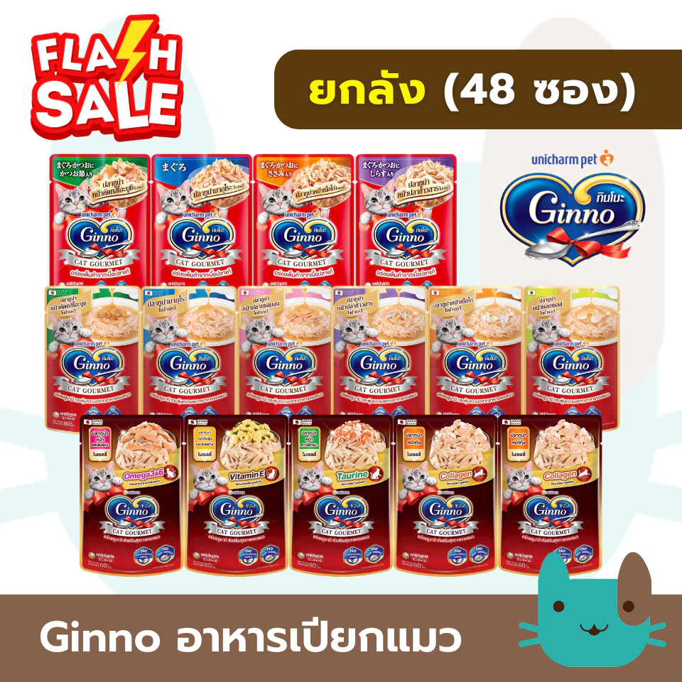 (ยกลัง) Ginno อาหารเปียกแมวกินโนะ 48 ซอง เกรดพรีเมี่ยม ไม่เติมเกลือ Fs