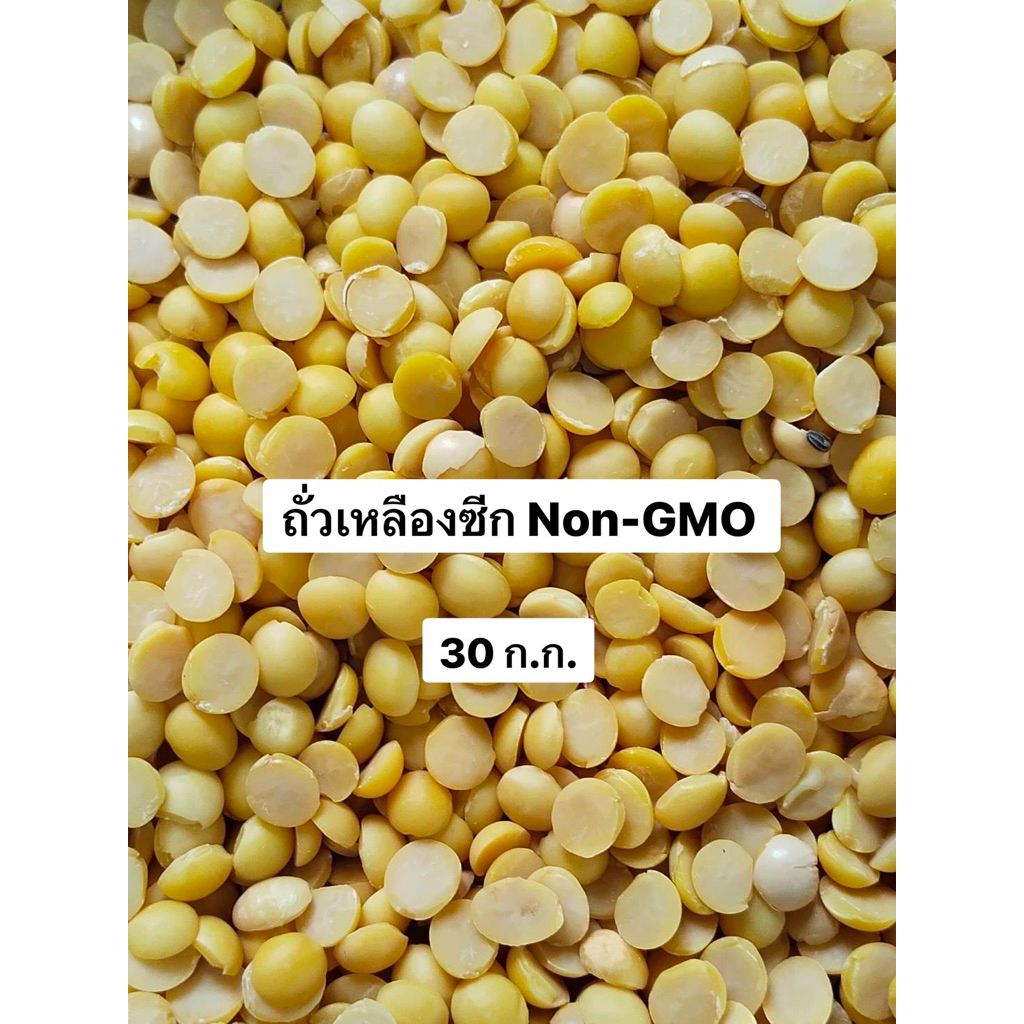 ถั่วเหลืองซีก Non-GMO  30 กิโลกรัม ราคาส่ง ยกกระสอบ