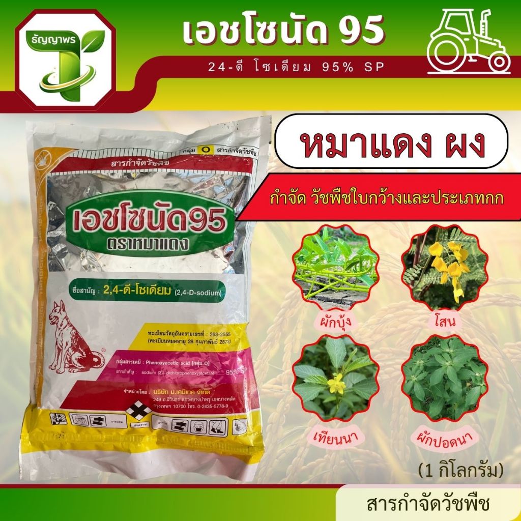 หมาแดง ผง เอชโซนัด 95 (24-ดี โซเดียม 95% SP) 1กก. ใช้สำหรับกำจัดวัชพืชใบกว้าง ผักบุ้ง ผักปอด