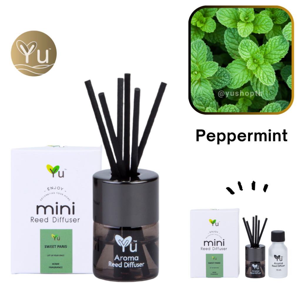 Mini Room Difuser 15 ml. กลิ่น Peppermint (เปปเปอร์มิ้นท์) กลิ่นหอมเย็นสดชื่นมาก ก้านไม้หอม