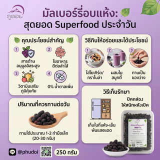มัลเบอรี่ ลูกหม่อน อบแห้ง 100% ตรา ภูดอย สูตรไม่มีน้ำตาล ไม่ใส่สารกันเสีย ไม่แต่งสี เคี้ยวหนึบหนับ นุ่มลิ้น ไขมันต่ำ