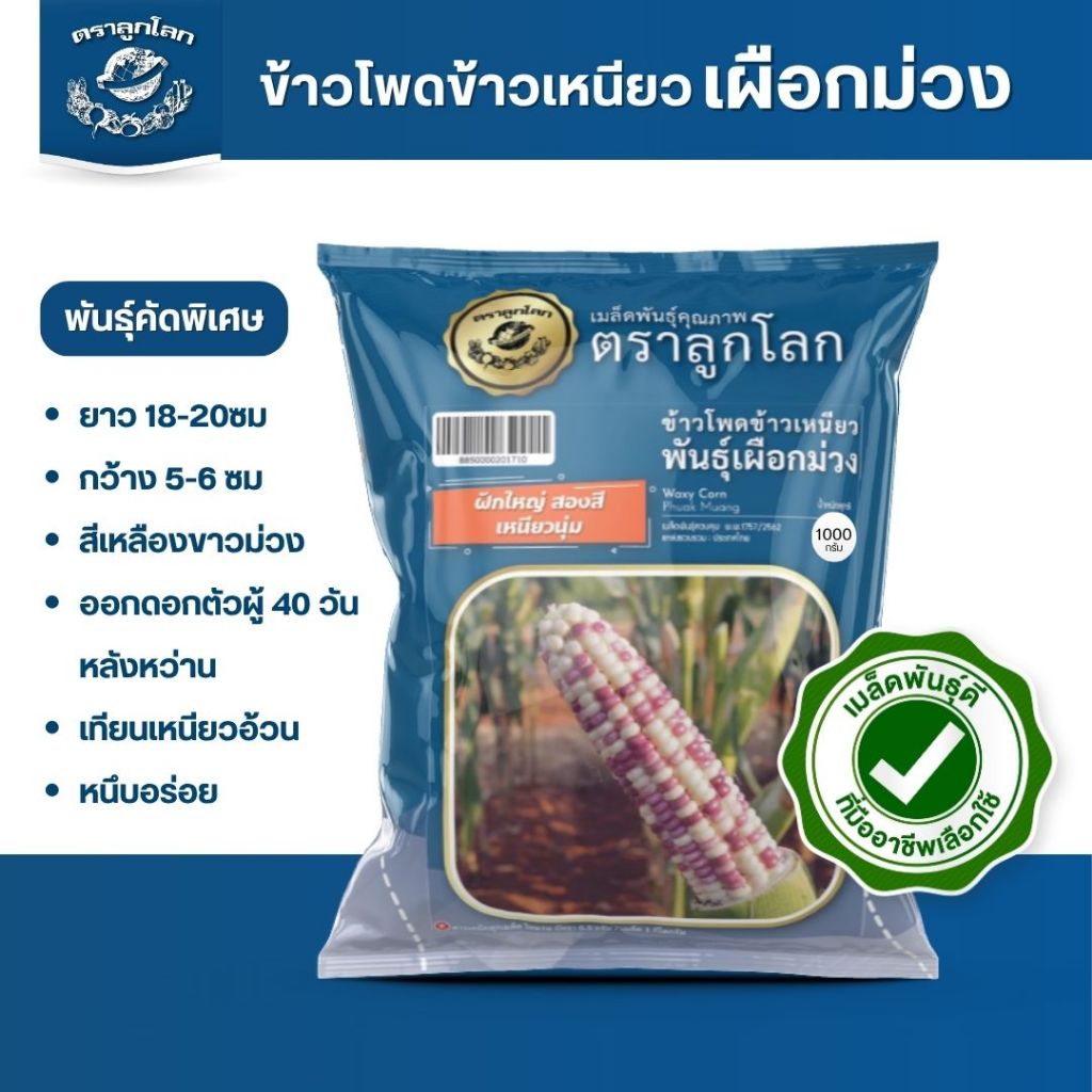 ตราลูกโลก เมล็ดข้าวโพดข้าวเหนียว เผือกม่วง Waxy sweetcorn เมล็ดพันธุ์ผัก ผักสวนครัว ผักซอง ลูกโลก ขนาด 100 กรัม