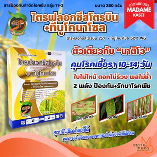 ใหม่! ไตรฟลอกซีสโตรบิน+ทีบูโคนาโซล 250 กรัม (เสือเกษตร) ตัวเดียวกับนาติโว สารกำจัดโรคพืช ป้องกันและรักษา คุมโรคนาน 10-14