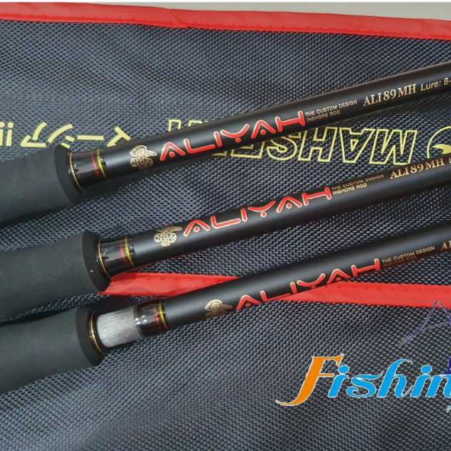 aliyah คันเหยื่อปลอมชายฝั่ง/ปลาวัง Mahseer ALIYAH (รับประกัน 1 ปี)