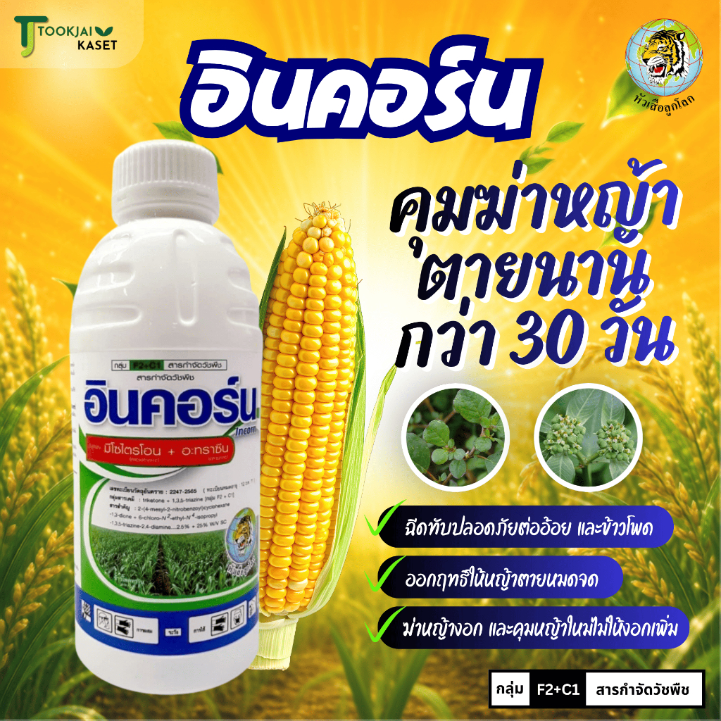อินคอร์น ขนาด 1 ลิตร มีโซไตรโอน+อะทราซีน วัชพืชหญ้าใบแคบใบกว้าง พ่นทับได้ ปลอดภัยต่อข้าวโพด