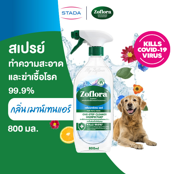 Zoflora โซฟลอรา สเปรย์น้ำยาฆ่าเชื้อ แอนตี้ไวรัสและแบคทีเรีย 