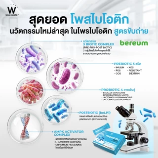 โปร 99 พิเศษเฉพาะในไลฟ์เท่านั้น WINK WHITE โพรไบโอติก รสโยเกิร์ตนมเปรี้ยว ช่วยปรับสมดุลระบบขับถ่าย