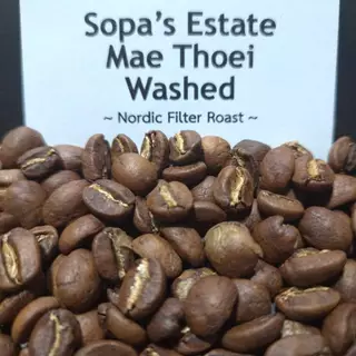 Sopa’s Estate Mae Thoei Washed เมล็ดกาแฟอมก๋อย ไร่โสภา แม่เทย Nordic Filter Roast | Nordic Style