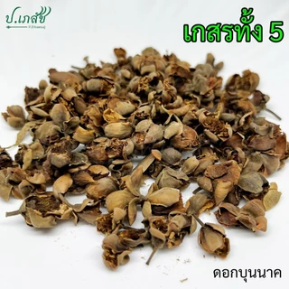 เกสรทั้ง 5 [50 / 100 กรัม] เบญจเกสร : เกสรบัวหลวง สารภี พิกุล บุนนาค มะลิ