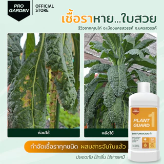 ProGarden ป้องกันและกำจัดเชื้อรา (ชนิดผสมน้ำ) ราใบจุด ราน้ำค้าง สารสกัดธรรมชาติ ไร้กลิ่น ไร้สารเคมี กับพืชทุกชนิด