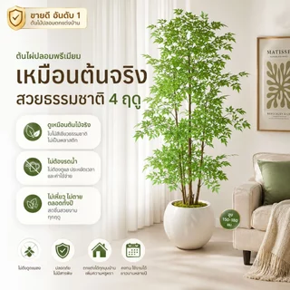 ✨สินค้ารุ่นใหม่+แถบไฟ LED 3M🏡 ต้นไม้ปลอมใบไผ่ ต้นไม้ปลอมใหญ่ 3กิ่ง-120/160/180 ต้นไม้ประดิษฐ์เสมือนจริง สไตล์มินิมอล