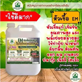 หัวเชื้อ EM ตรา green_houseขนาด 5 ลิตร ต้นตำรับ จากญี่ปุ่น สูตรตั้งต้น ขยายได้ ส้วมตัน น้ำเสีย จุลินทรีย์ หัวเชื้อทำปุ๋ย