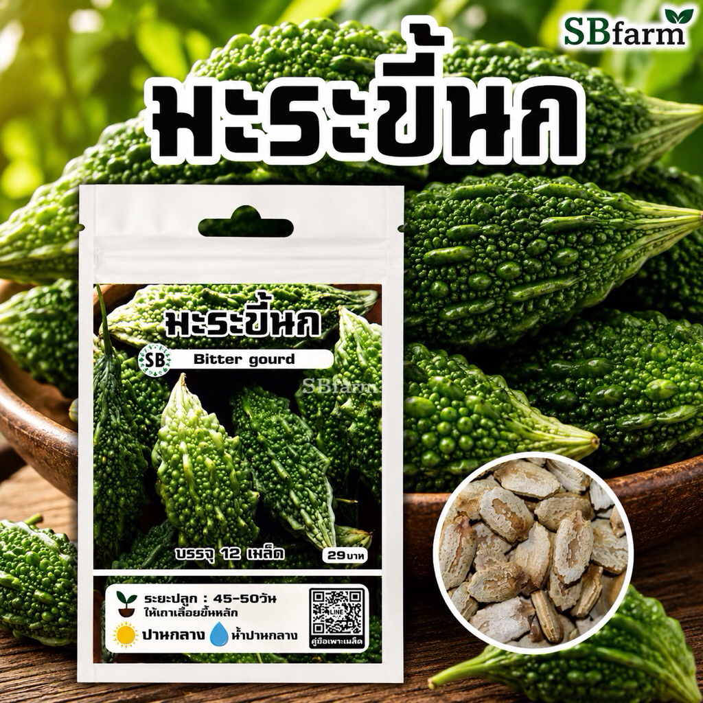 มะระขี้นก 1ซอง/12เมล็ด โปรโมชั่น [ซื้อ 2 แถม 1ซอง]