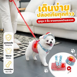 ชุดแมว 3pcs สายจูงแมว สายจูงสุนัข ชุดหมา กลางแจ้ง ระบายอากาศได้ดีและสะดวกสบาย สายจูง