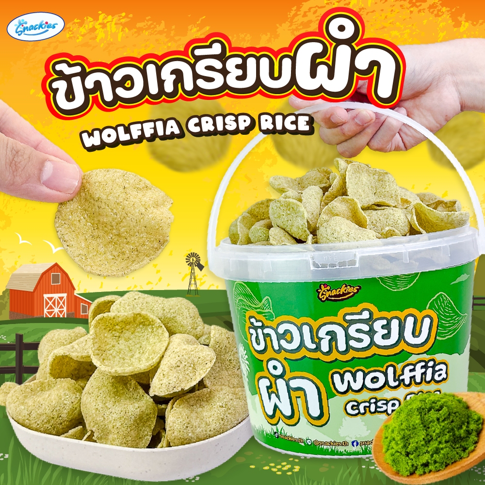 ข้าวเกรียบผำ Wolffia Crisp Rice กรอบอร่อย ผำธรรมชาติ ออร์แกนิค ขนม ของกิน ขนมกินเล่น snackies