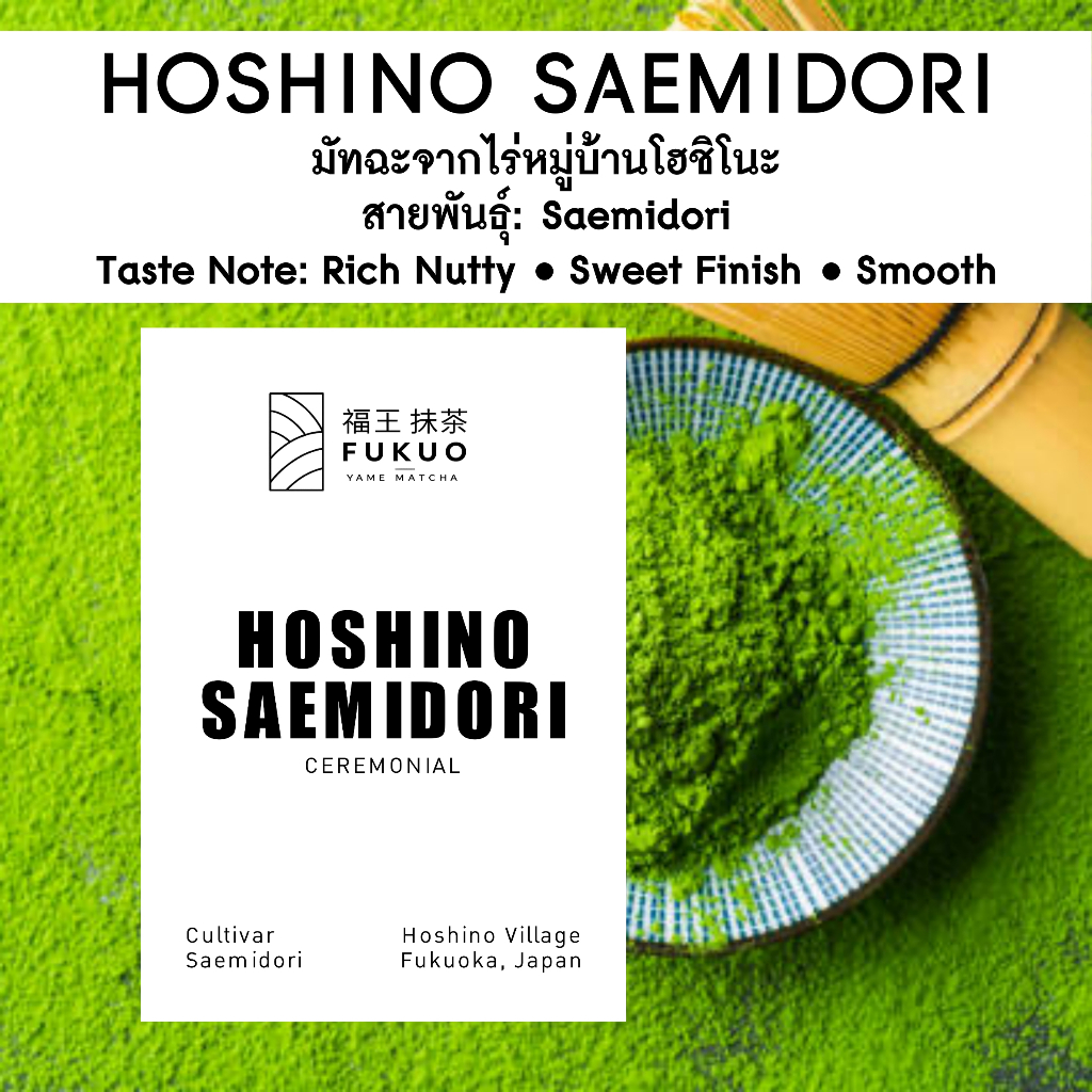 Fukuo Hoshino Saemidori มัทฉะ สายพันธุ์เดี่ยว โทนถั่ว จากหมู่บ้านโฮชิโนะ ญี่ปุ่น‼️ เกรดพิธีการ