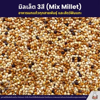 มิลเล็ต 3สี Mix Millet เกรดA อาหารนกเขาเล็ก นกแก้ว สัตว์ฟันแทะ สะอาด ร่อนฝุ่น (แบ่งขาย 500G / 1KG)