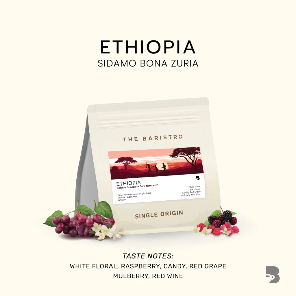 เมล็ดกาแฟ คั่วอ่อน - Ethiopia Sidamo Bona Zuria