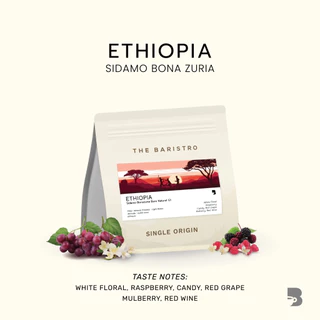 เมล็ดกาแฟ คั่วอ่อน - Ethiopia Sidamo Bona Zuria