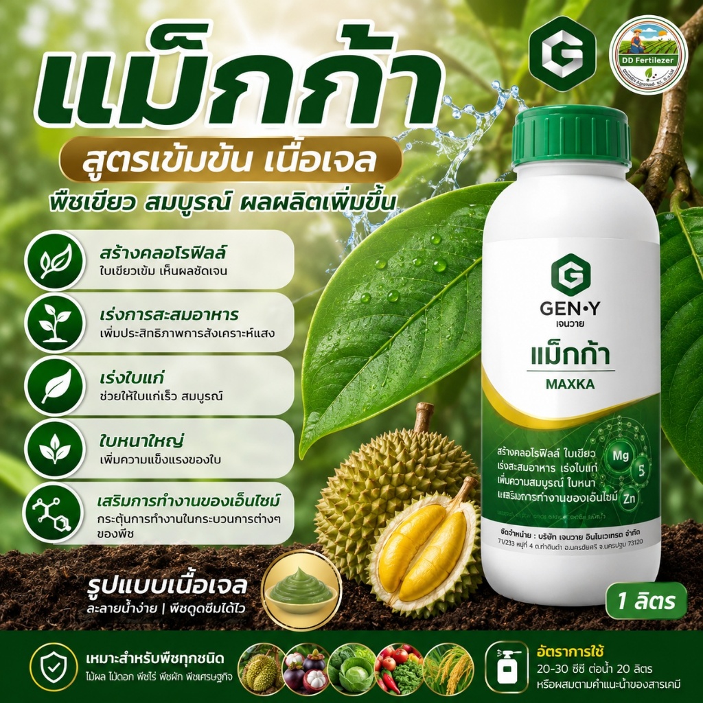 #แม็กก้า ขนาด 1 ลิตร สร้างคลอโรฟิลล์ ใบเขียวสมบูรณ์ เร่งการสะสมอาหารเพิ่มความสมบูรณ์ใบหนาใหญ่#เจนวาย
