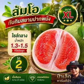 ส้มโอทับทิมสยามปากพนัง ไซส์ XL 2ลูก น้ำหนัก 1.3- 1.5 กก./ต่อลูก จากสวนป้าเล็กขี้ลืม