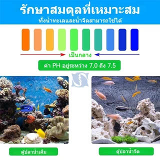 เซรามิคกรองน้ำ 0.5/1kg หินกรอง ตู้ปลา เซรามิคริงค์ พร้อมถุงซิป มีหลายรูปทรงให้เลือก 500กรัม mini ลูกเต๋า ดอกไม้ 5D